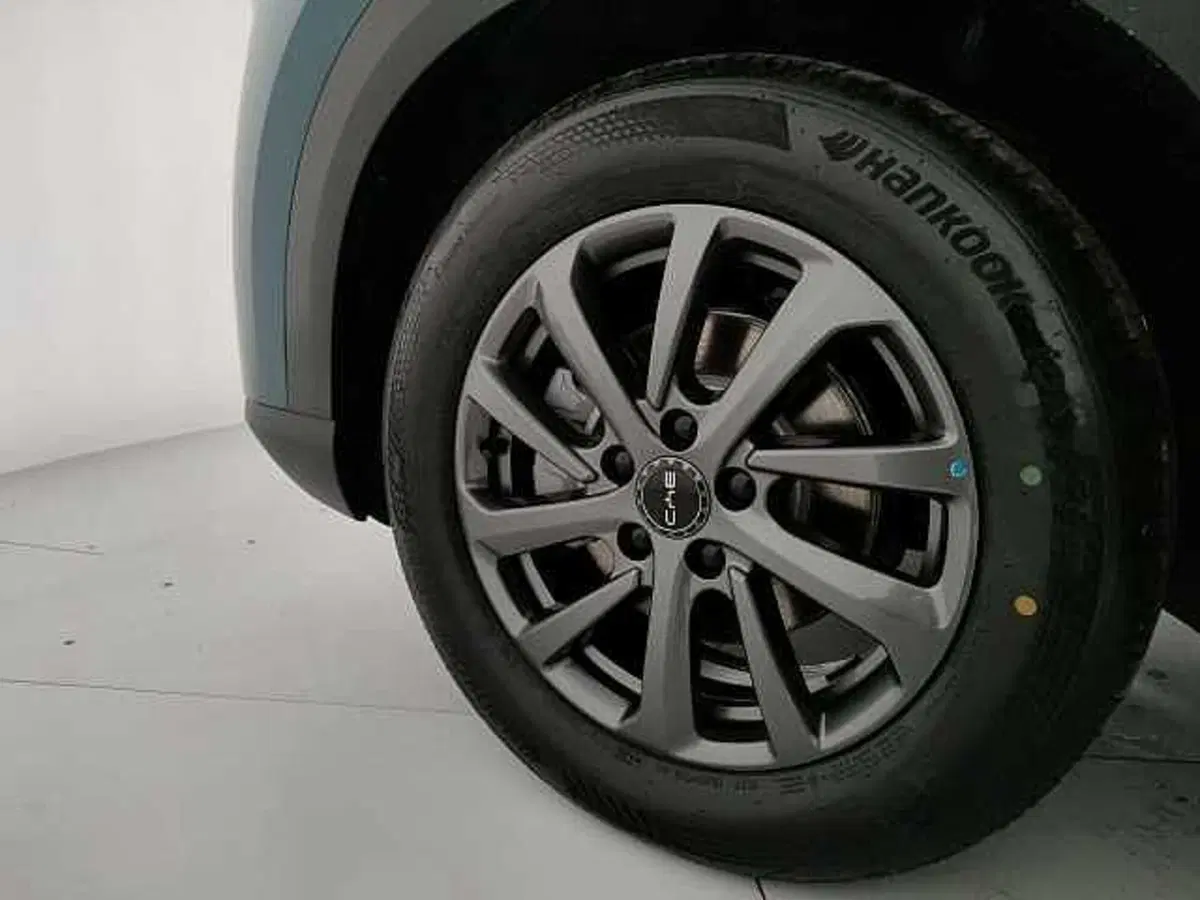Byd Atto 2 DM-i nuova a Caserta (17)