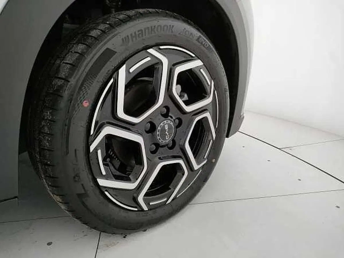 Byd Dolphin nuova a Caserta (19)