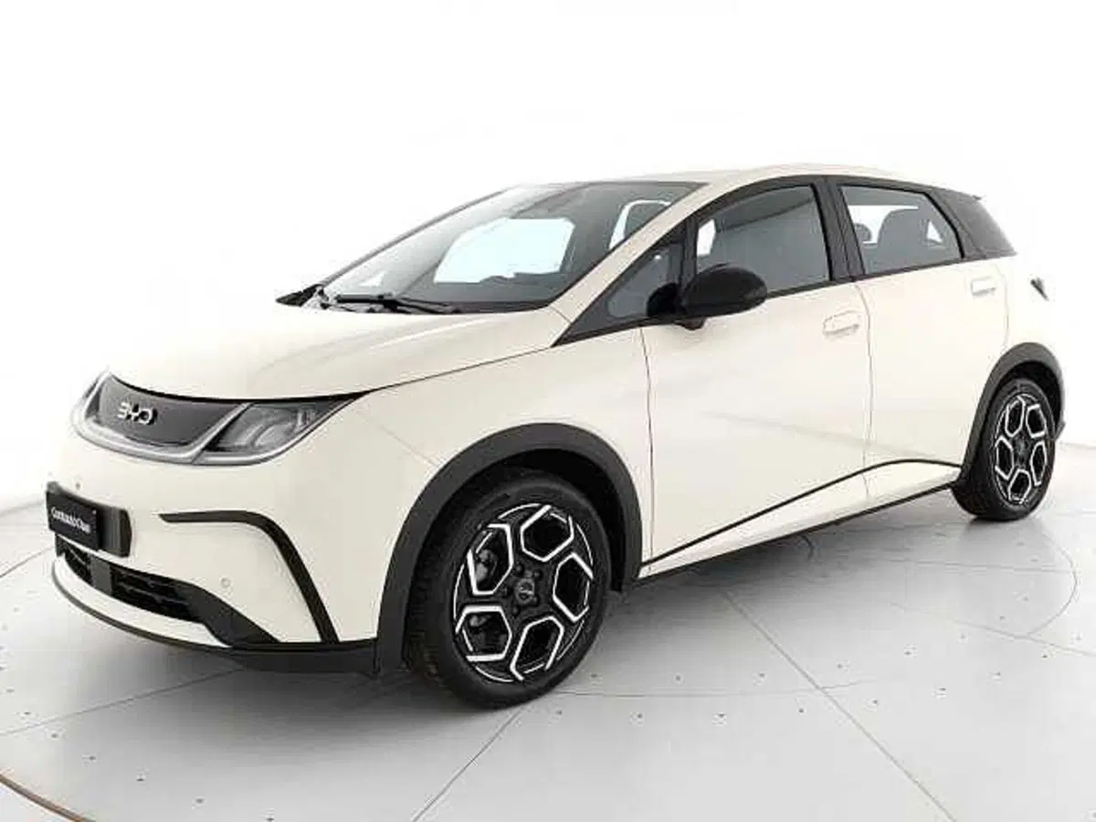 Byd Dolphin nuova a Caserta