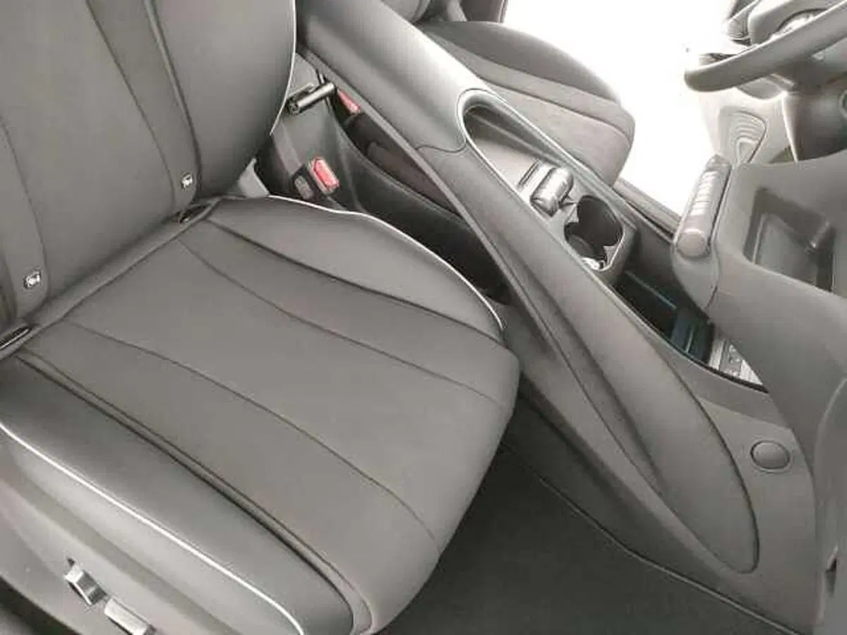 Byd Dolphin nuova a Caserta (15)