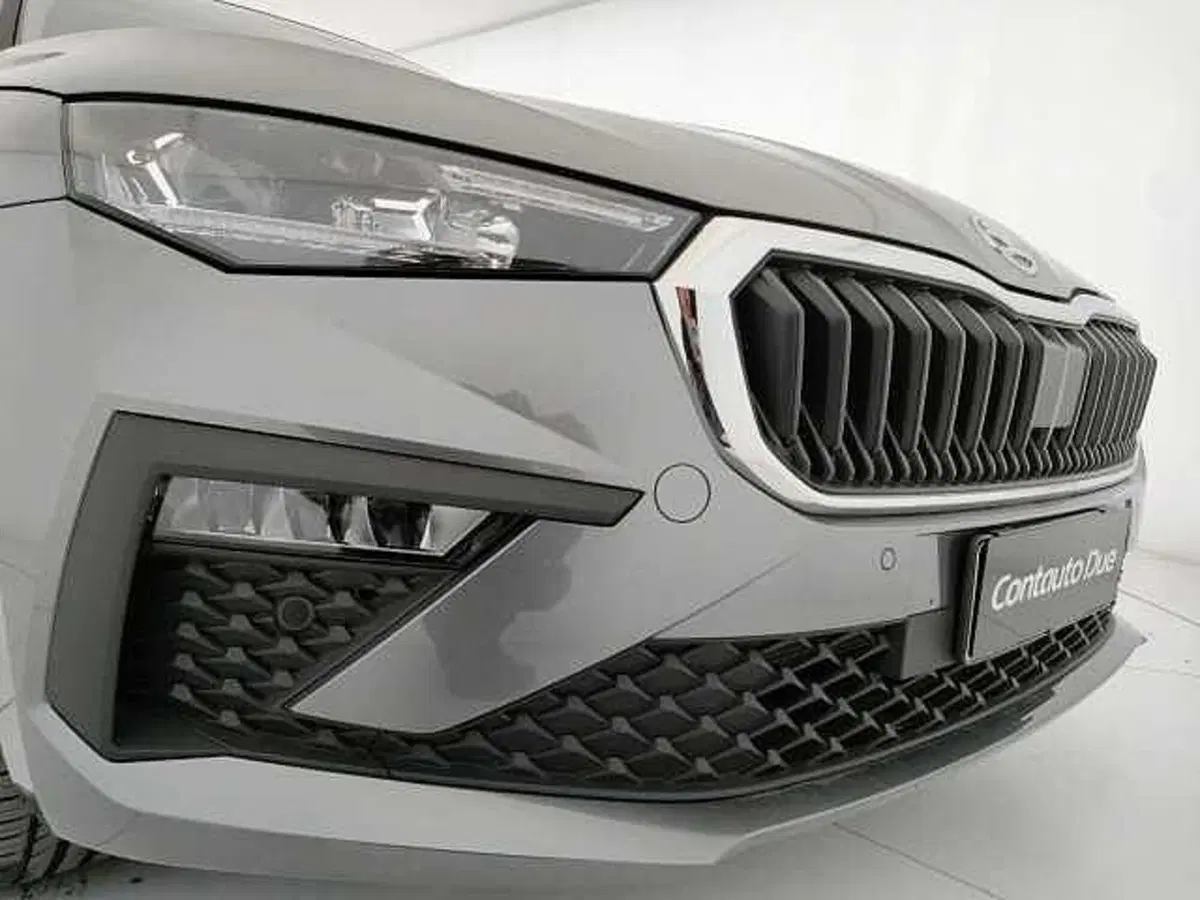 Skoda Scala usata a Caserta (19)