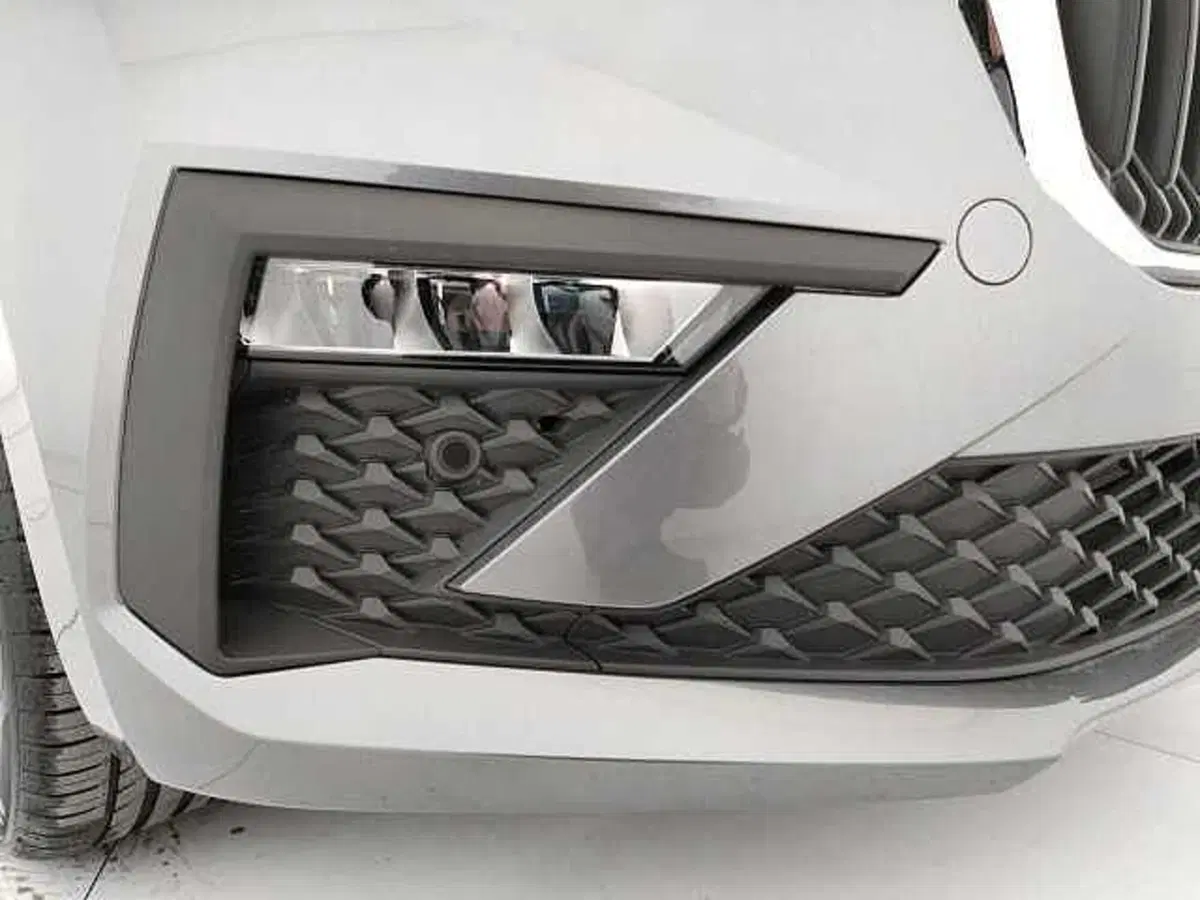 Skoda Scala usata a Caserta (20)