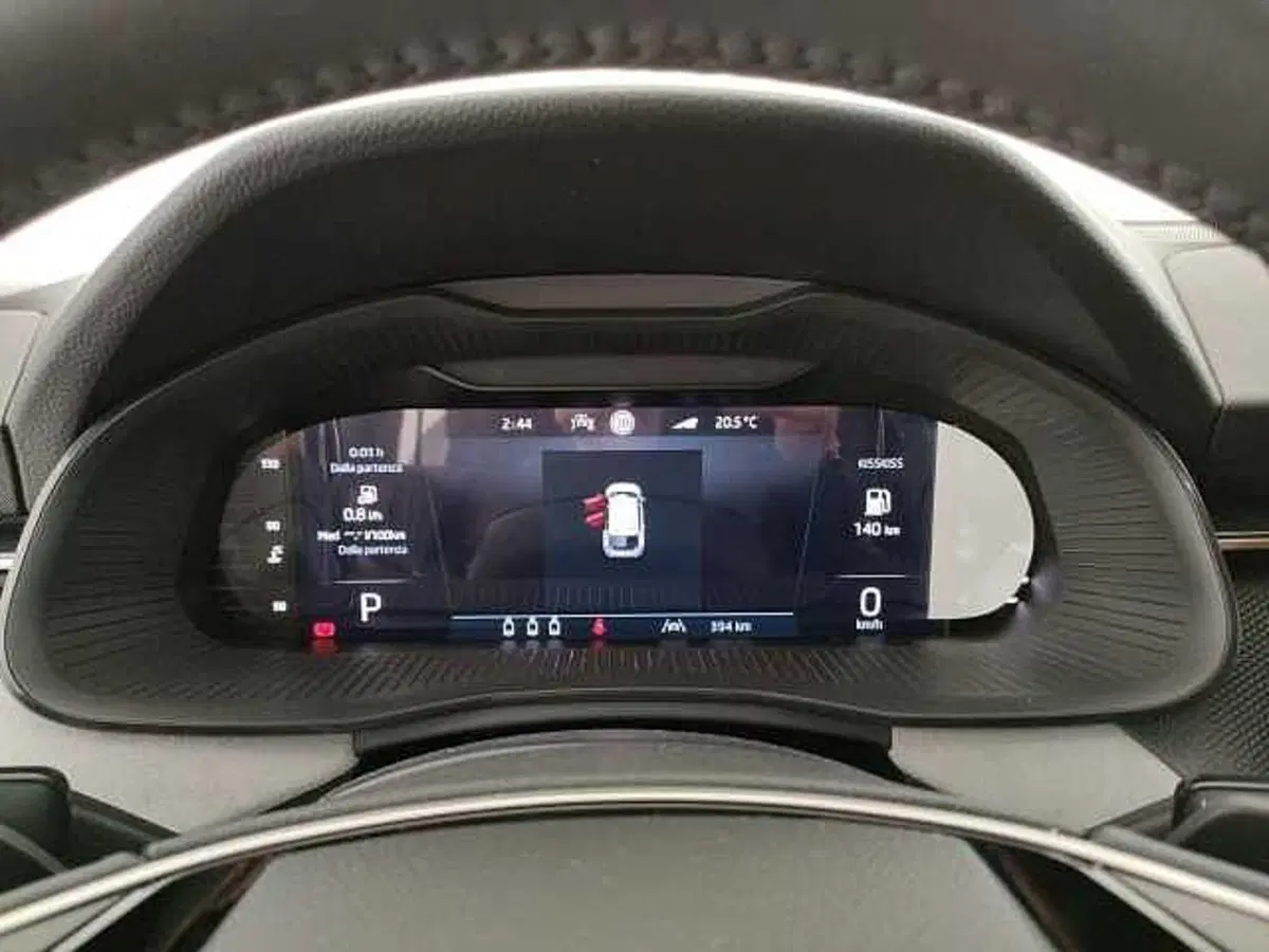 Skoda Scala usata a Caserta (9)