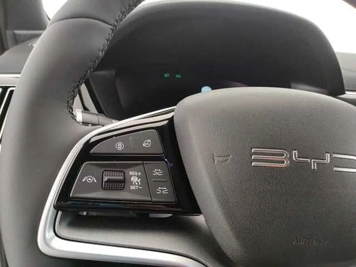 Byd Seal U DM-i usata a Caserta (19)