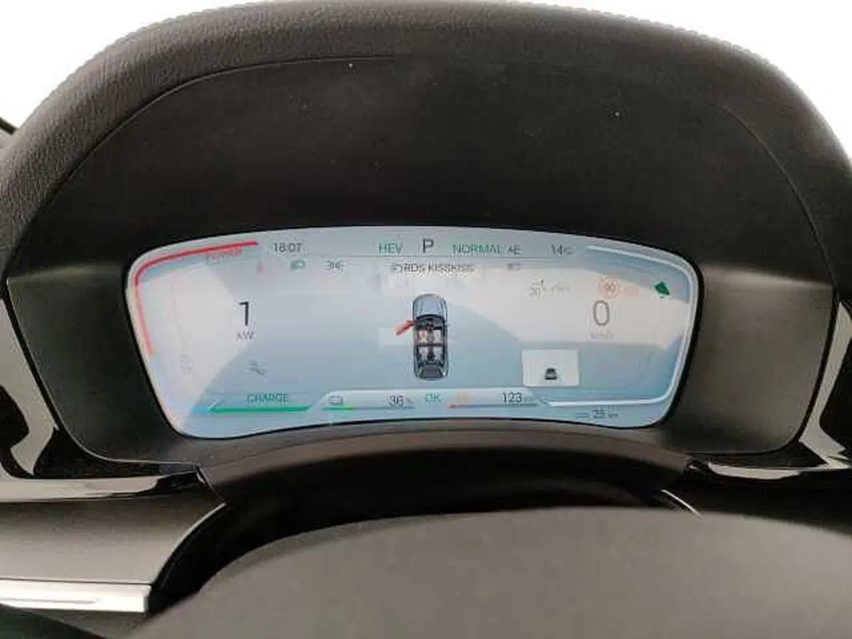 Byd Seal U DM-i usata a Caserta (13)