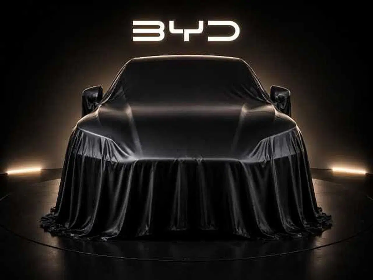 Byd Seal U DM-i usata a Caserta (2)