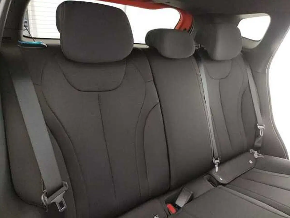 Byd Dolphin G DM-i nuova a Caserta (12)