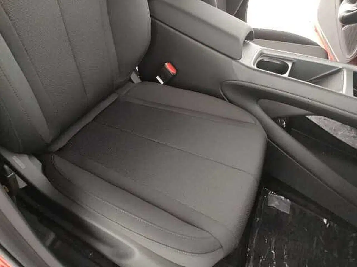 Byd Dolphin G DM-i nuova a Caserta (16)