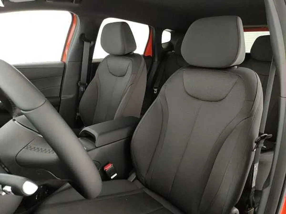 Byd Dolphin G DM-i nuova a Caserta (20)