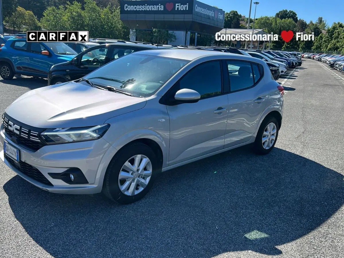 Dacia Sandero Streetway usata a Latina (8)