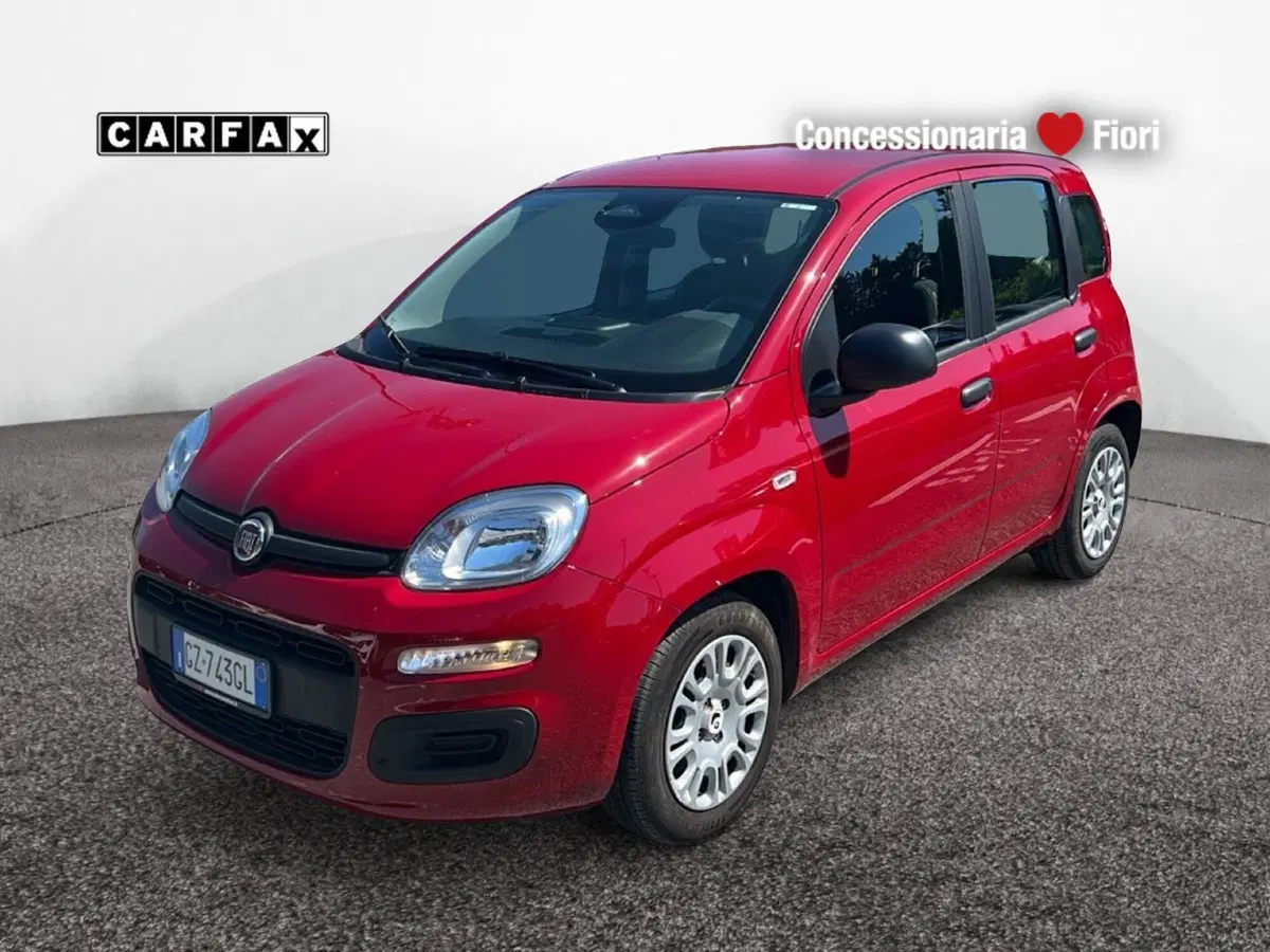 Fiat Pandina usata a Latina