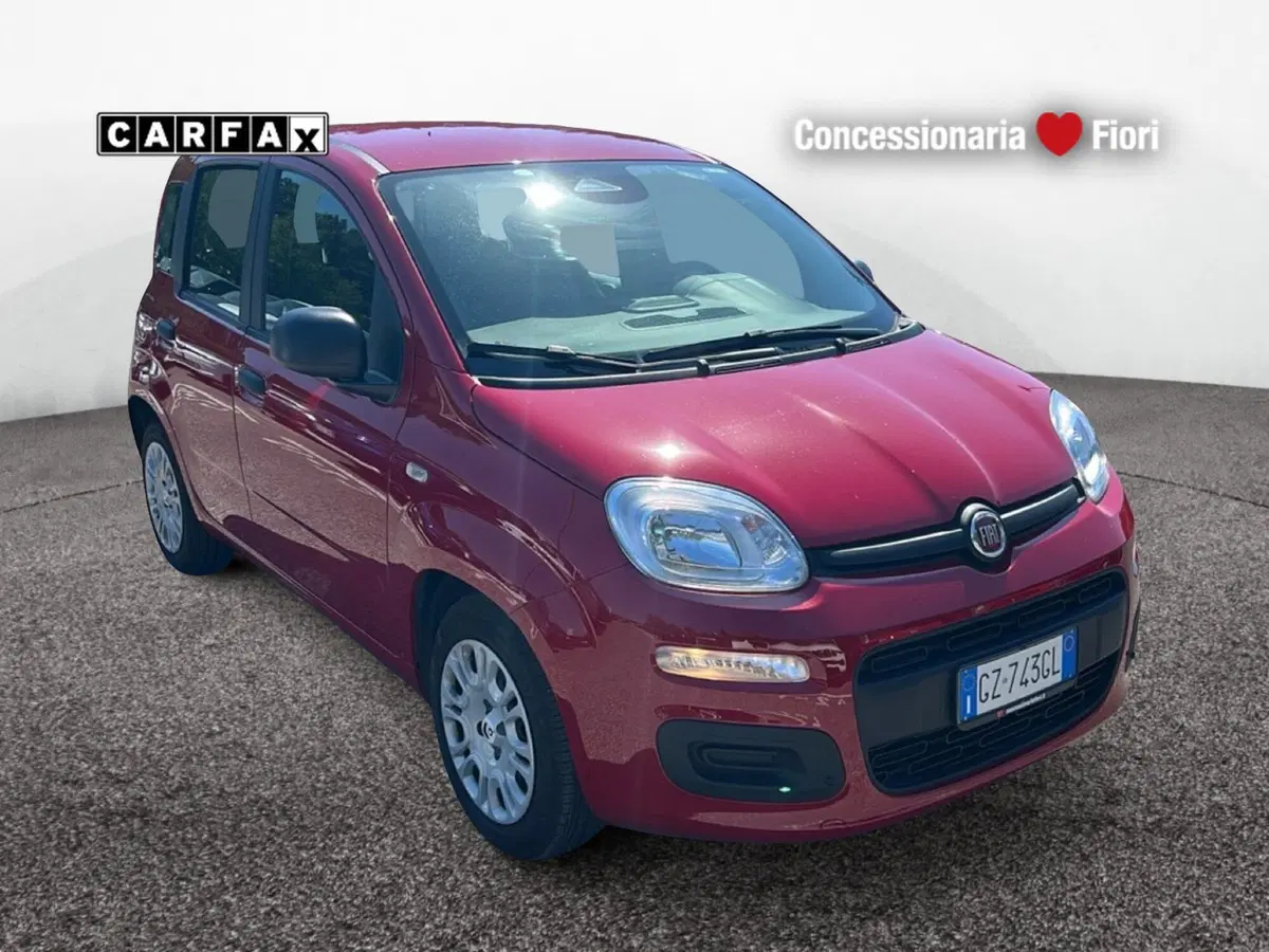 Fiat Pandina usata a Latina (2)