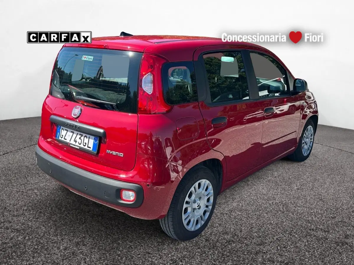 Fiat Pandina usata a Latina (3)