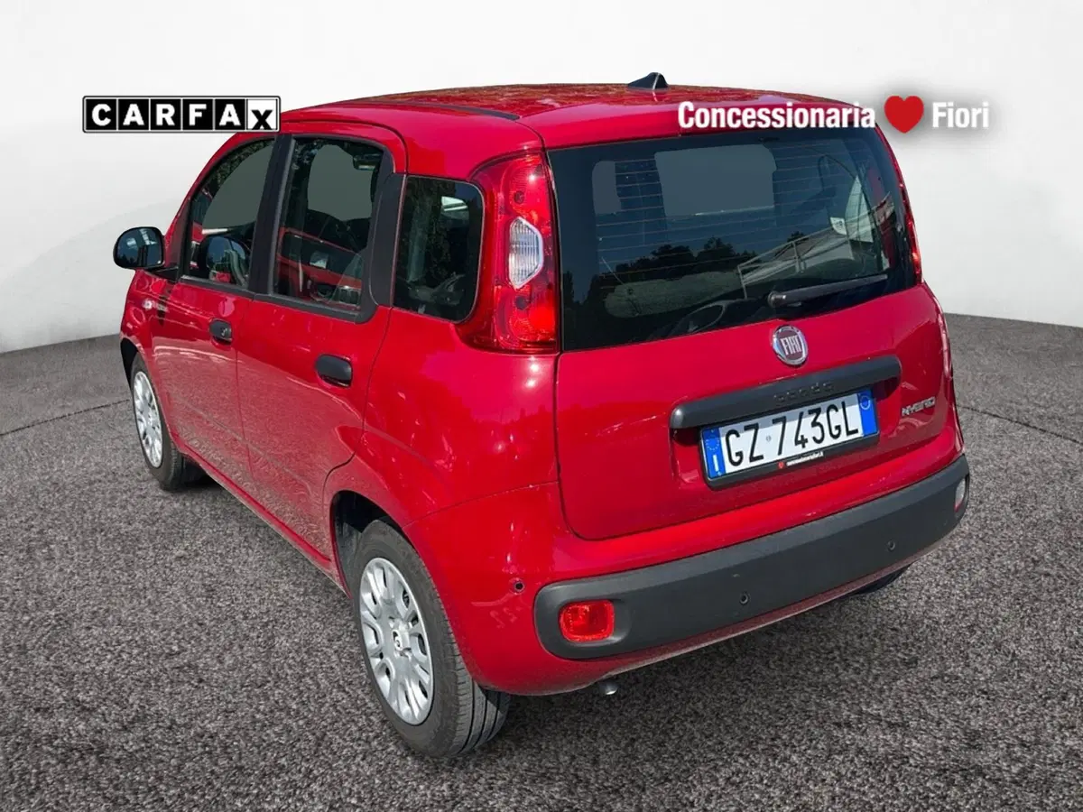 Fiat Pandina usata a Latina (4)