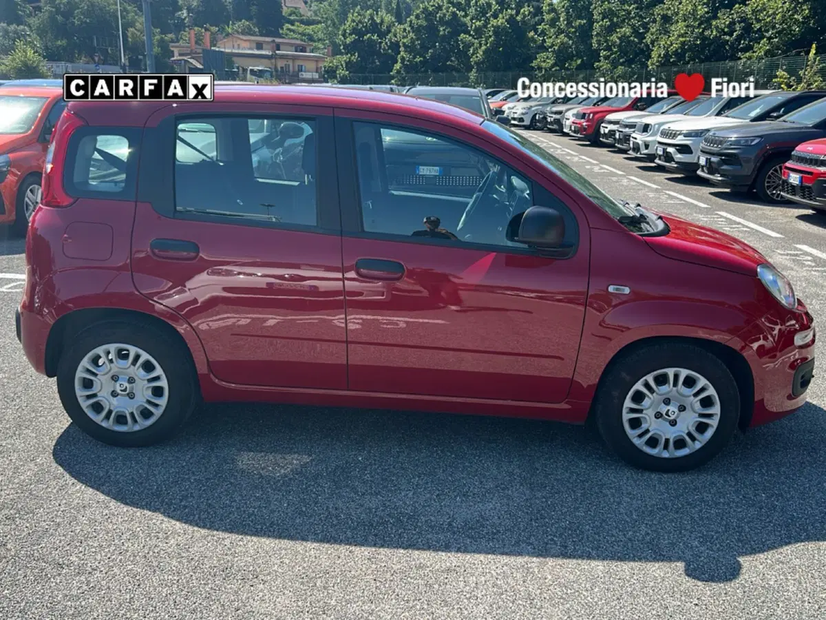 Fiat Pandina usata a Latina (6)