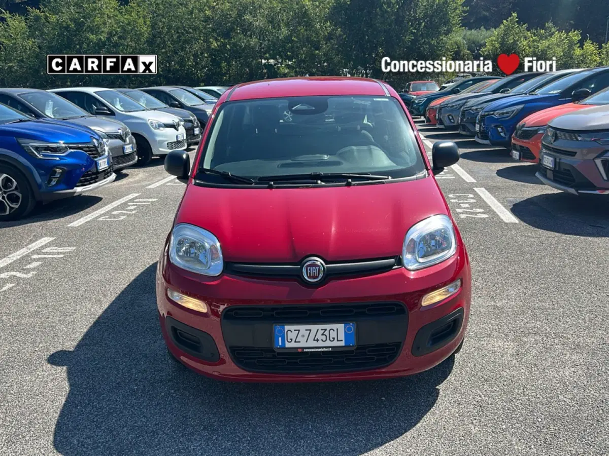 Fiat Pandina usata a Latina (7)