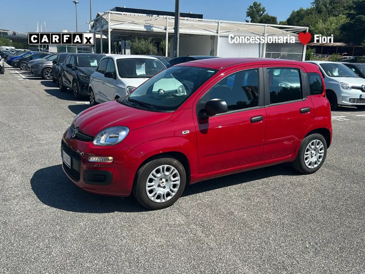Fiat Pandina usata a Latina (8)