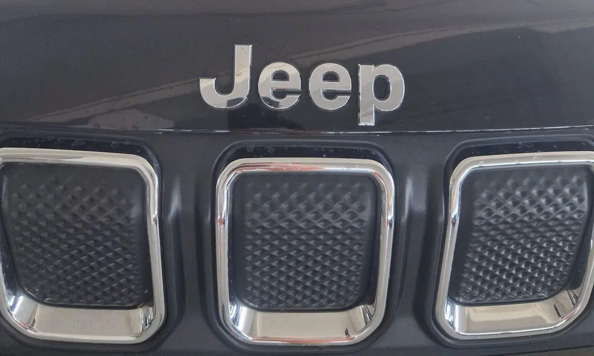 Jeep Compass usata a Terni (20)