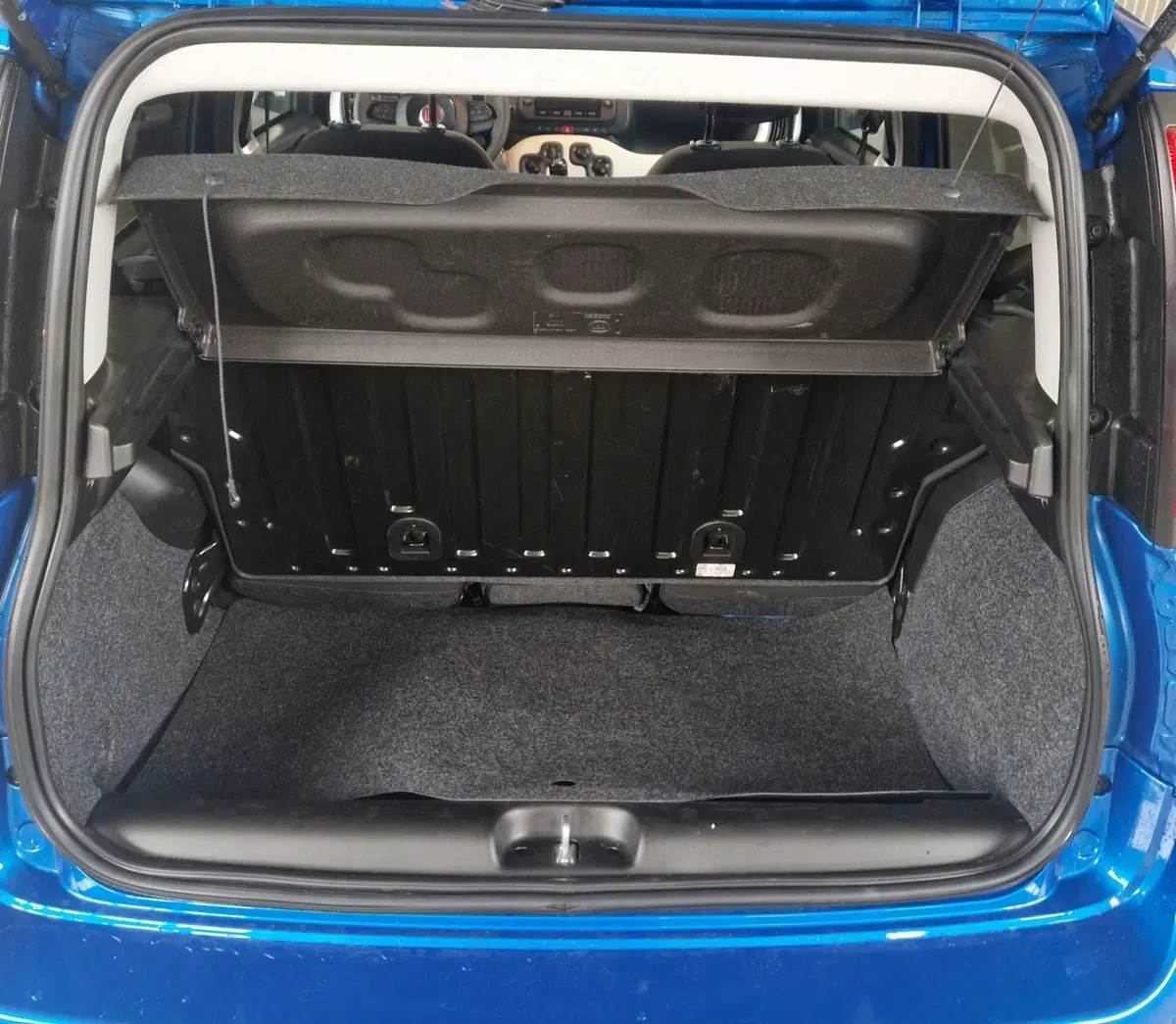 Fiat Panda Cross usata a Terni (10)