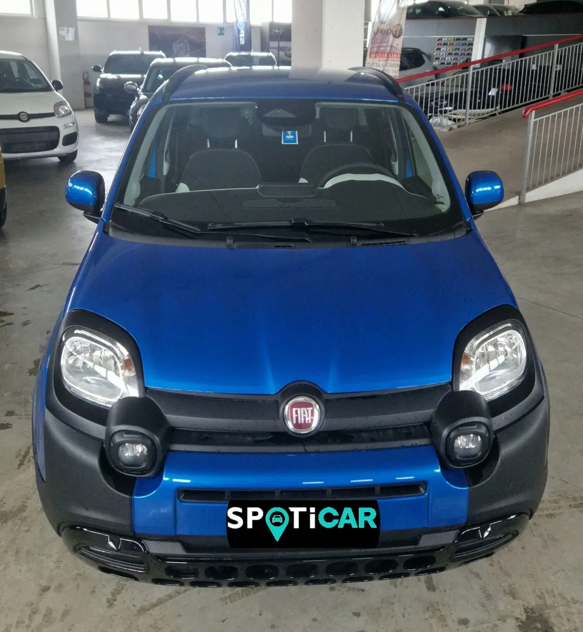 Fiat Panda Cross usata a Terni (2)