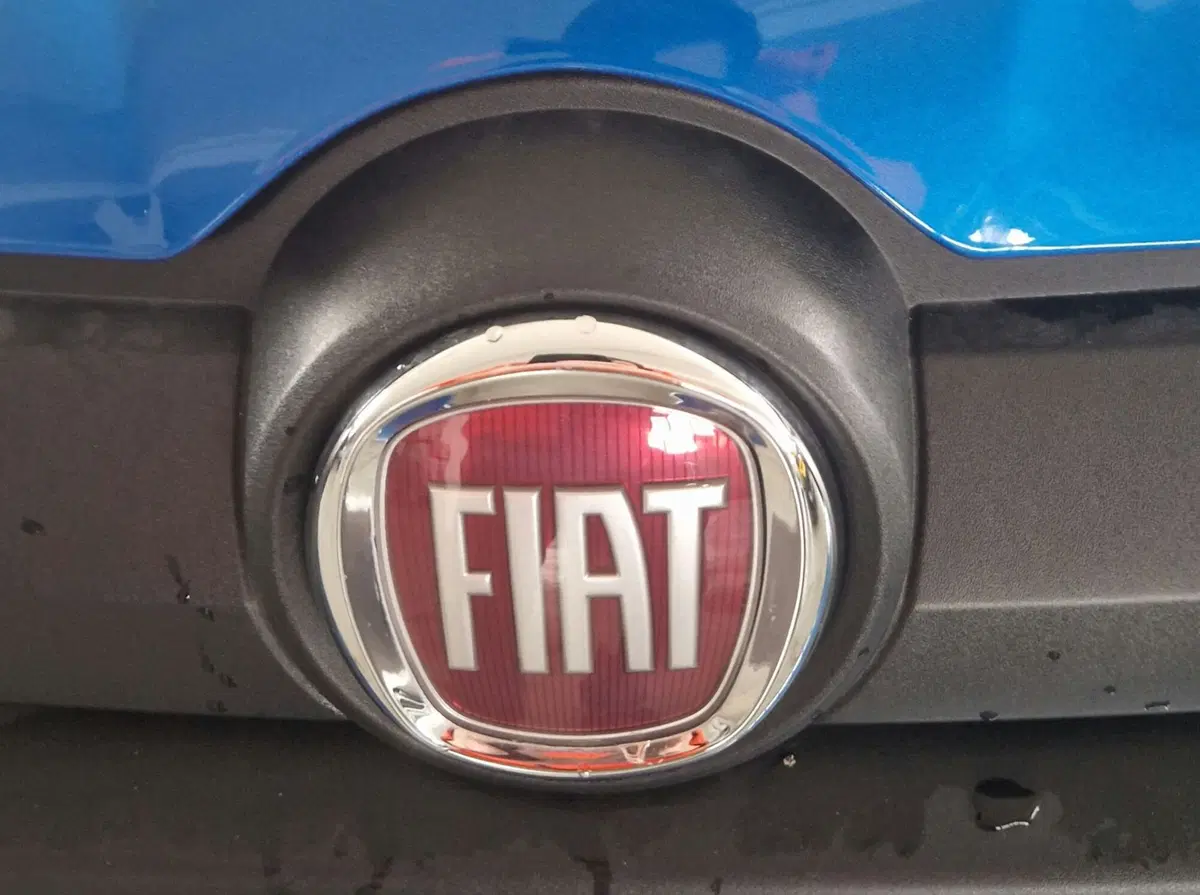 Fiat Panda Cross usata a Terni (20)