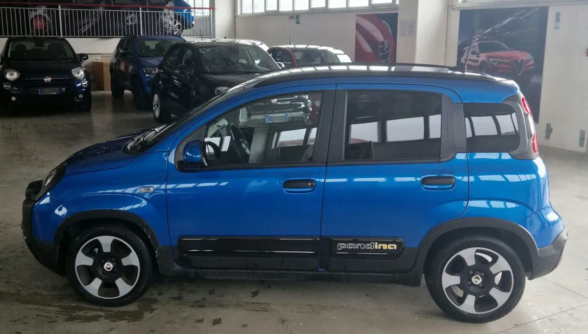 Fiat Panda Cross usata a Terni (3)