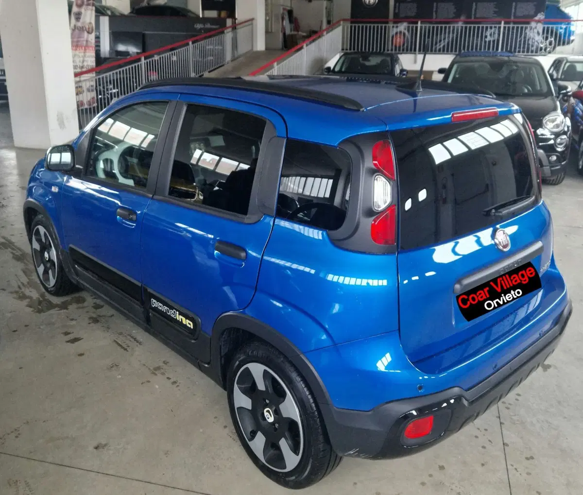 Fiat Panda Cross usata a Terni (4)