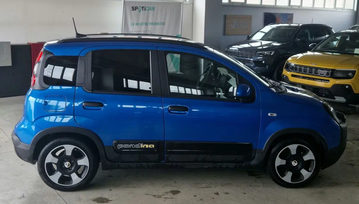 Fiat Panda Cross usata a Terni (6)