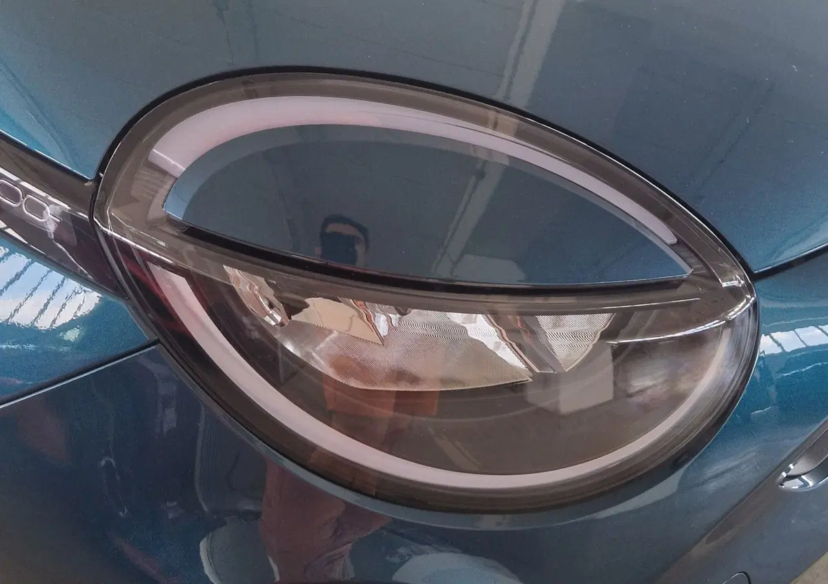 Fiat 600 usata a Terni (19)