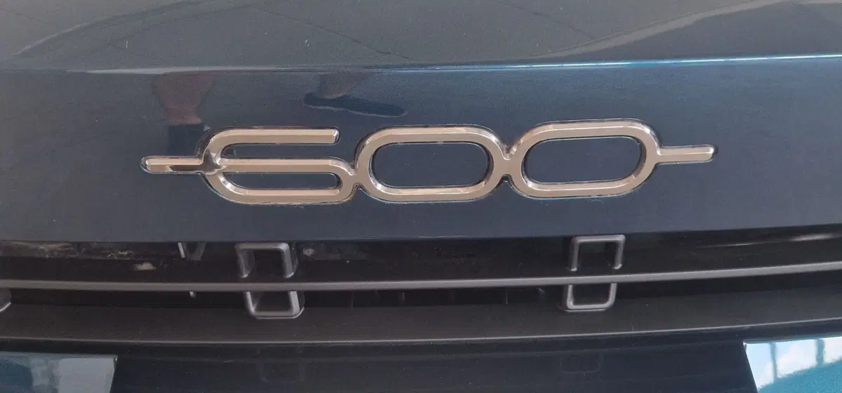 Fiat 600 usata a Terni (20)