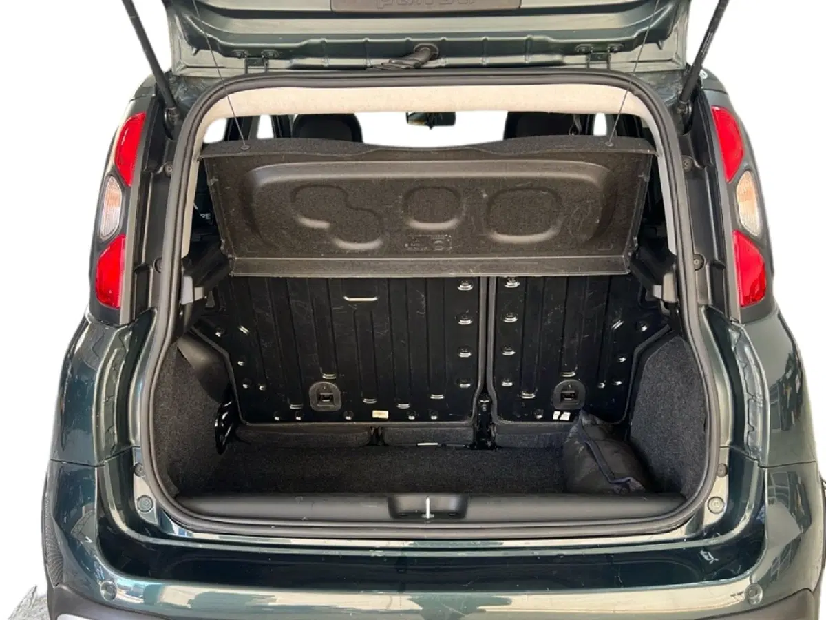 Fiat Panda Cross usata a Roma (10)