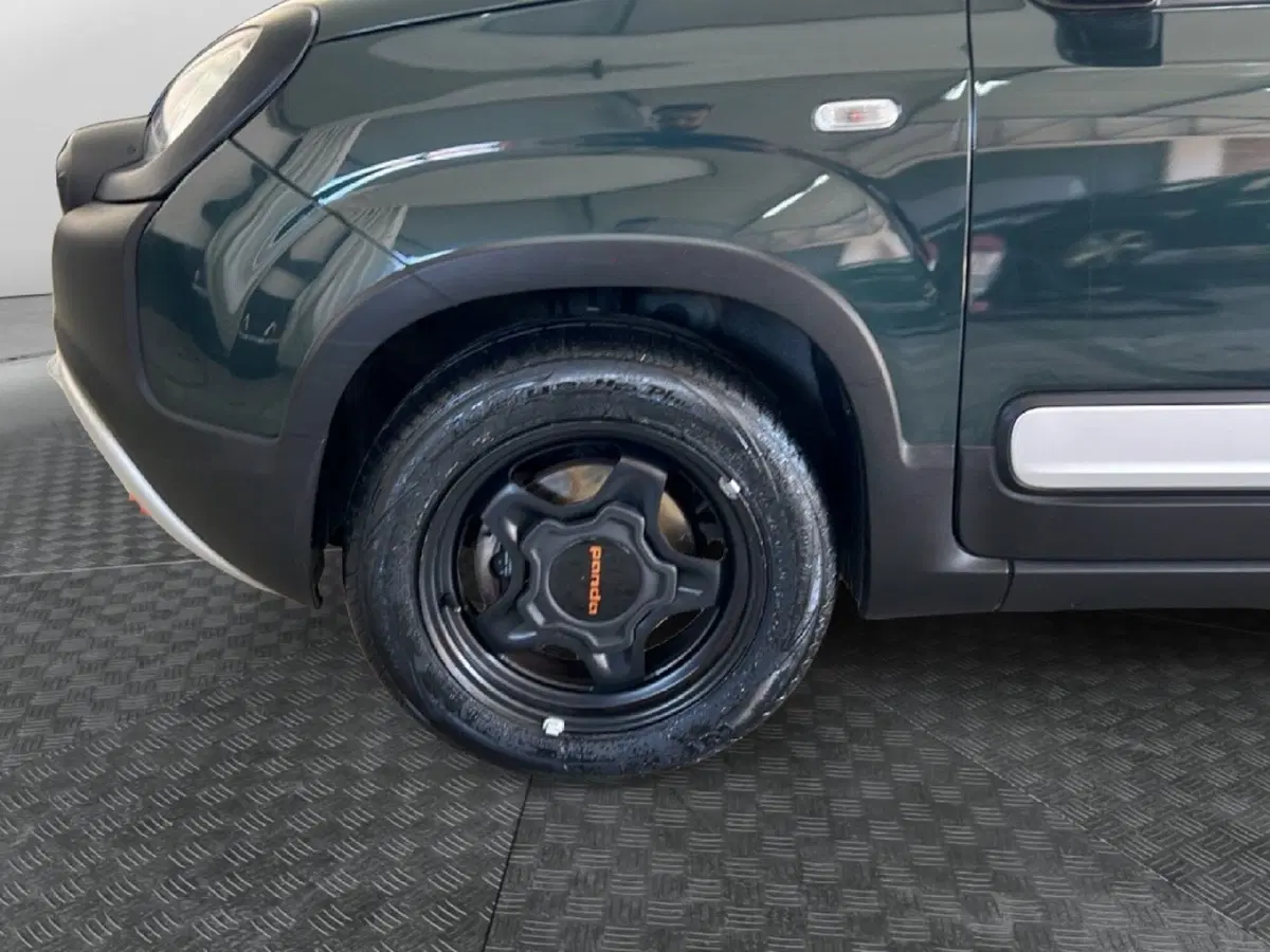 Fiat Panda Cross usata a Roma (9)