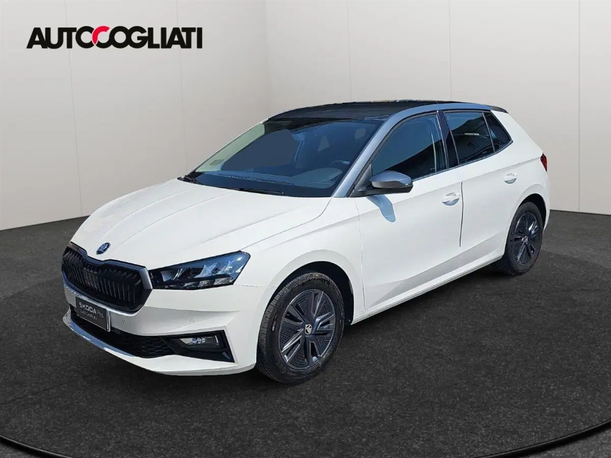 Skoda Fabia usata a Lecco
