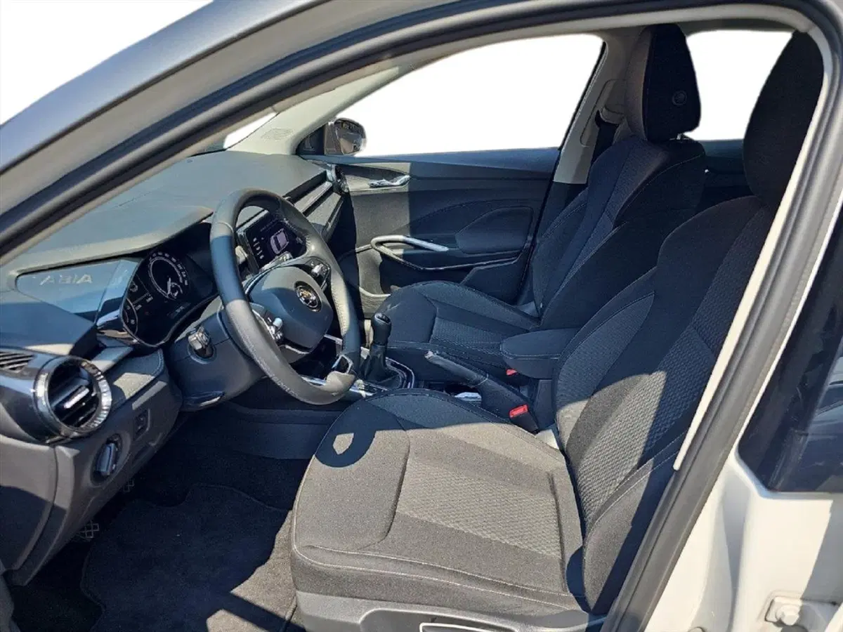 Skoda Fabia usata a Lecco (10)