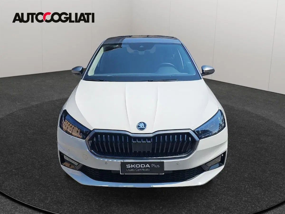 Skoda Fabia usata a Lecco (2)
