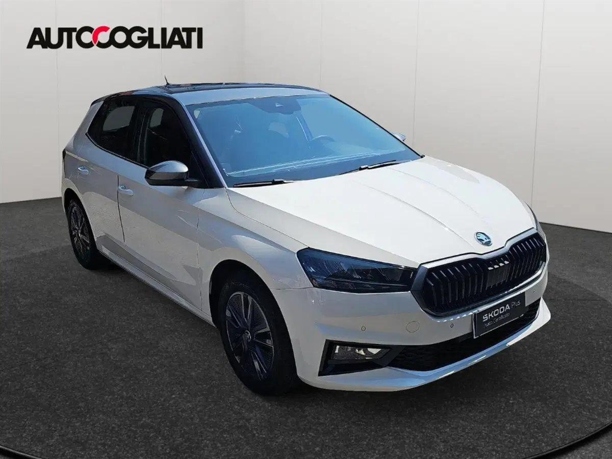 Skoda Fabia usata a Lecco (3)