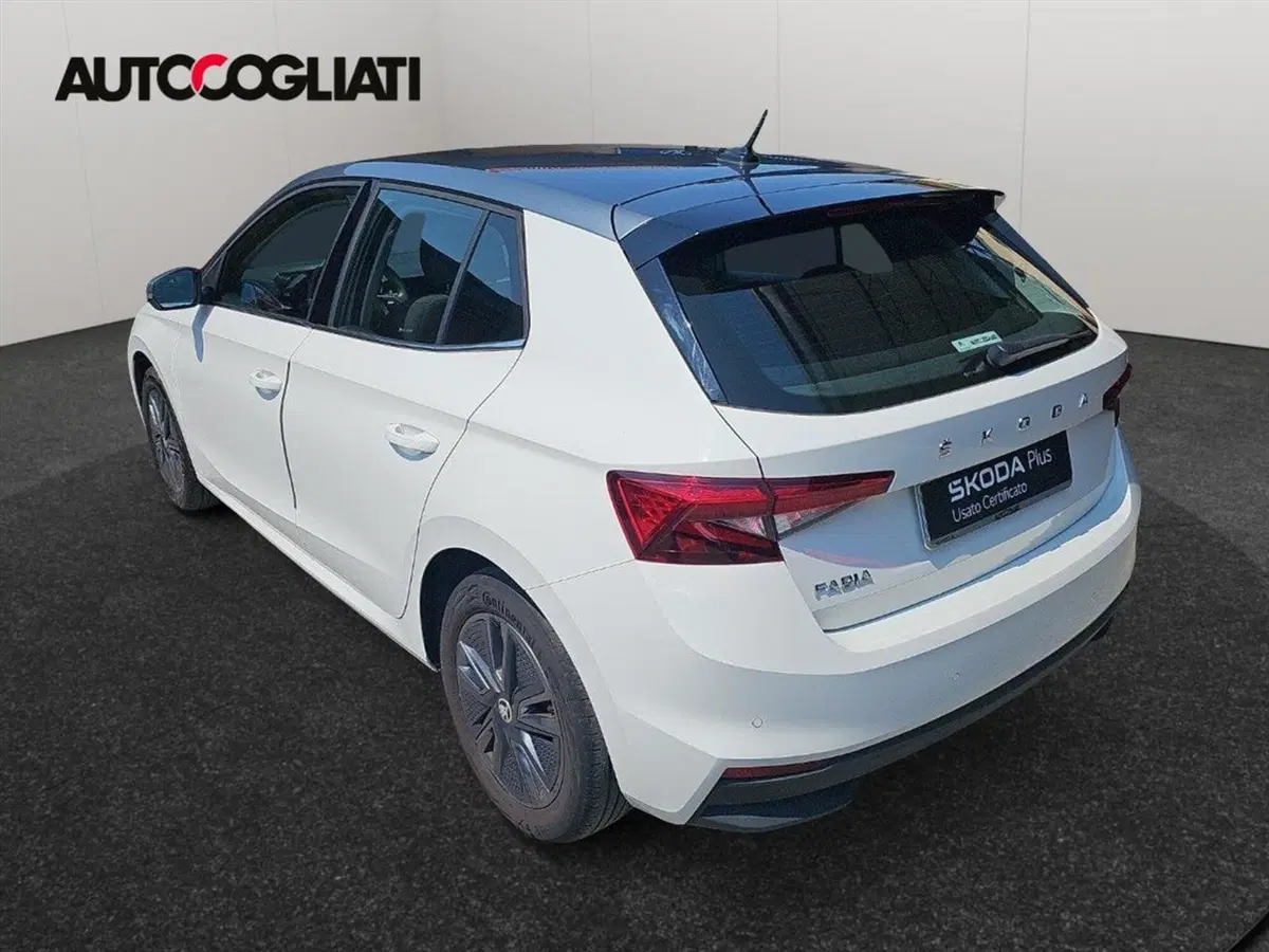 Skoda Fabia usata a Lecco (4)