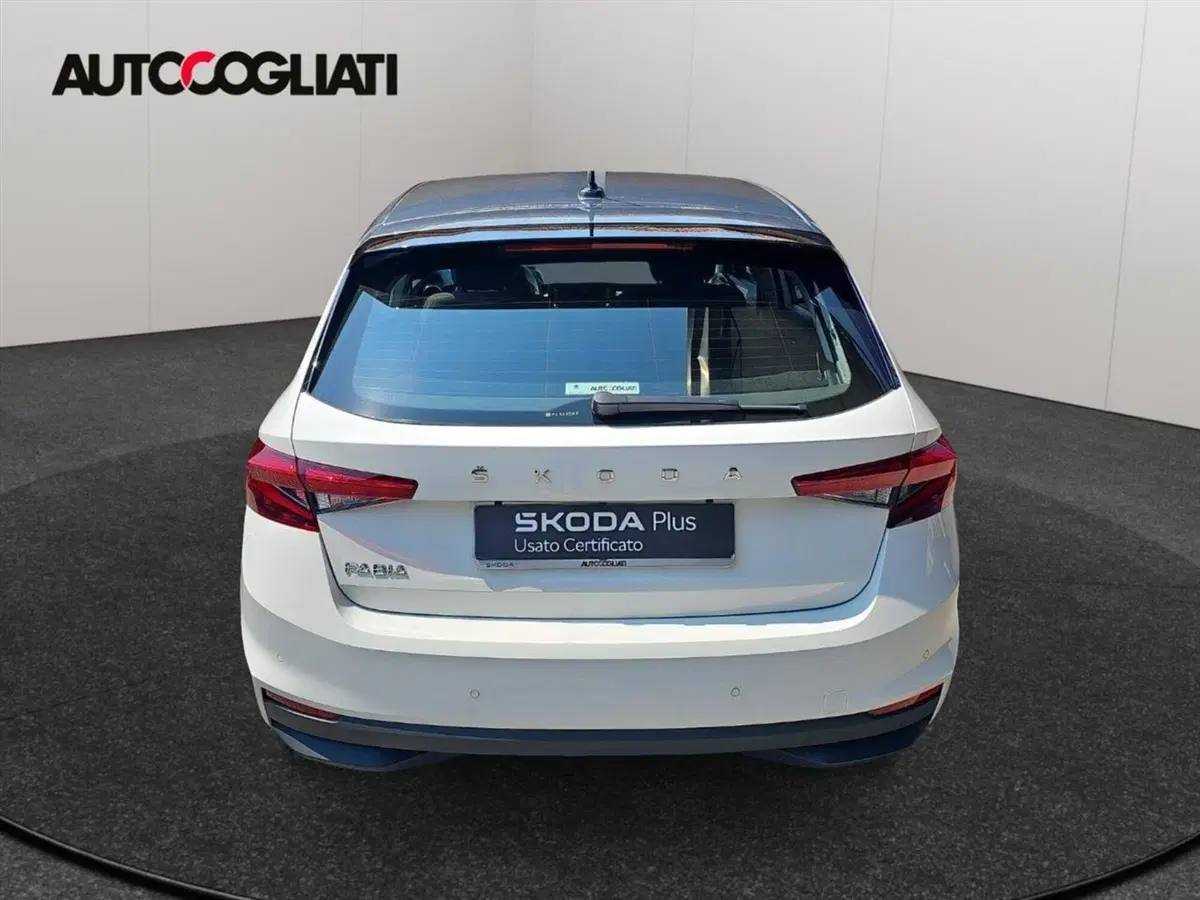 Skoda Fabia usata a Lecco (5)