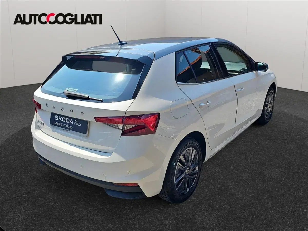 Skoda Fabia usata a Lecco (6)