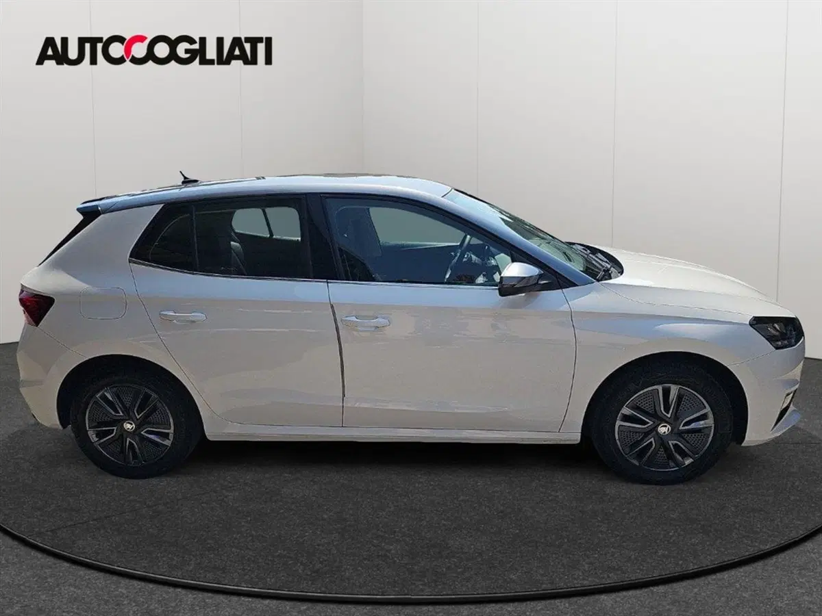 Skoda Fabia usata a Lecco (7)