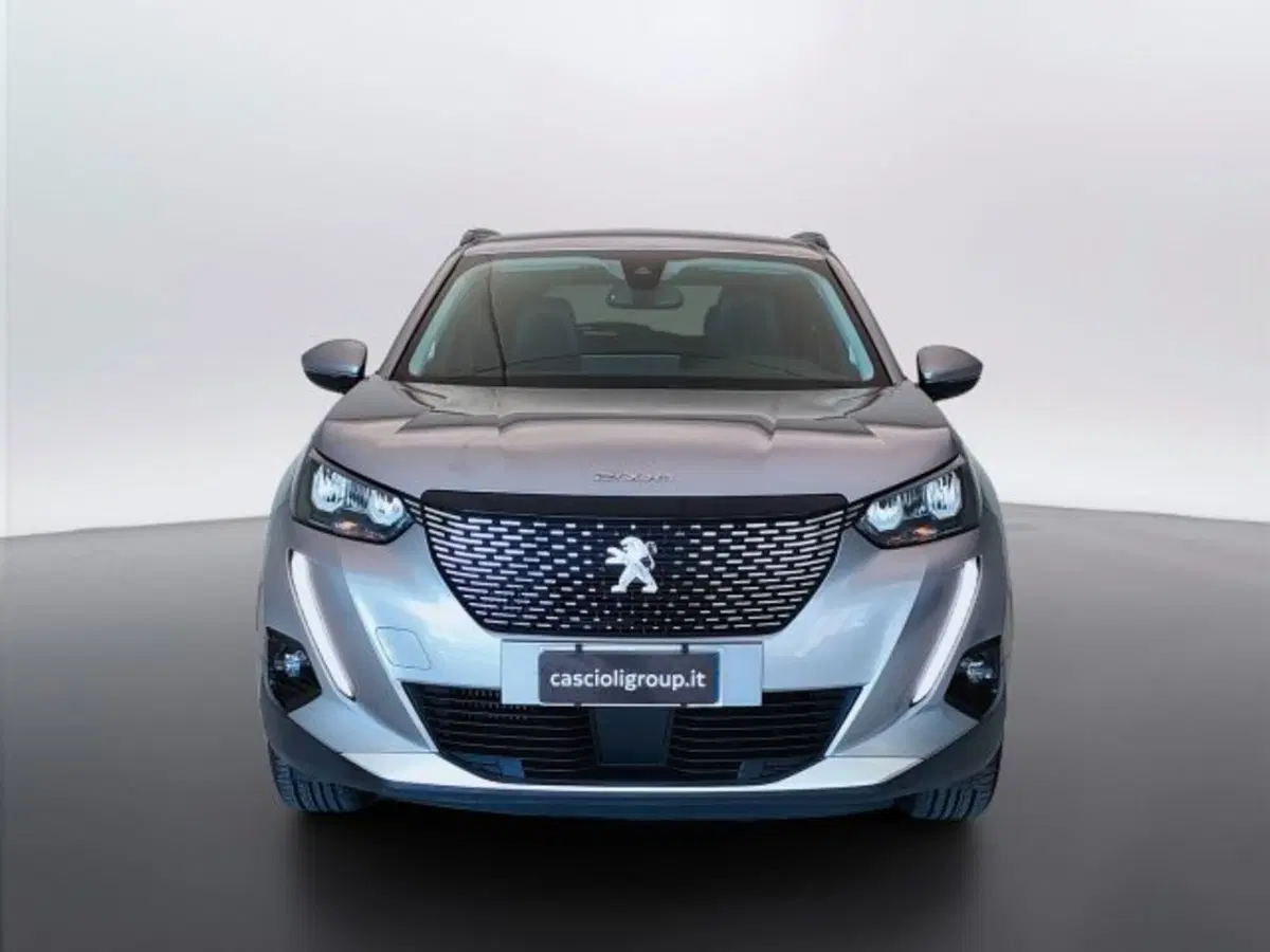 Peugeot 2008 usata a Teramo (2)