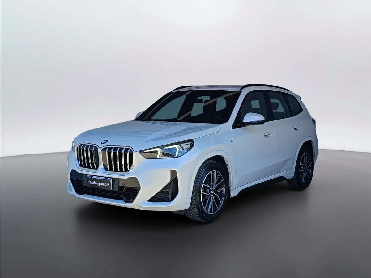 BMW X1 usata a Ascoli Piceno