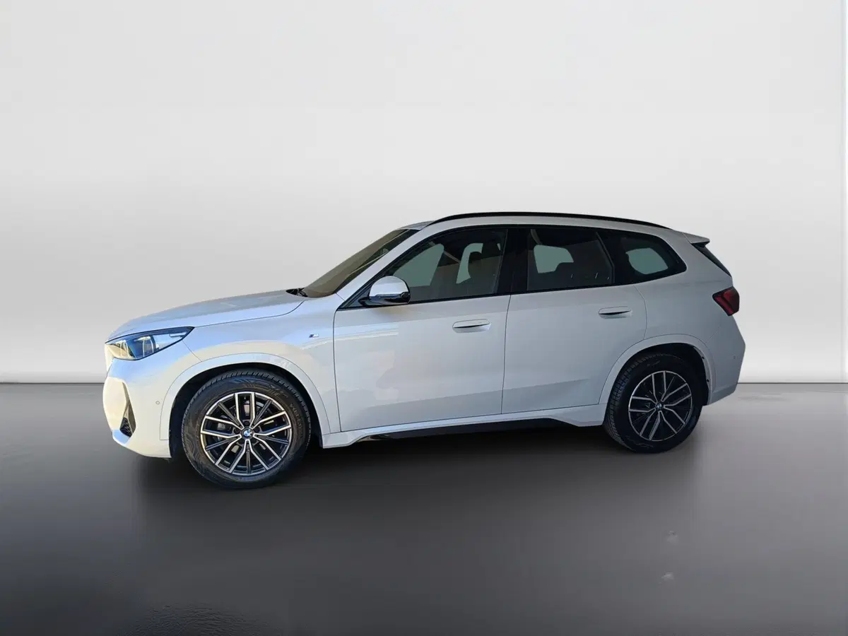 BMW X1 usata a Ascoli Piceno (6)