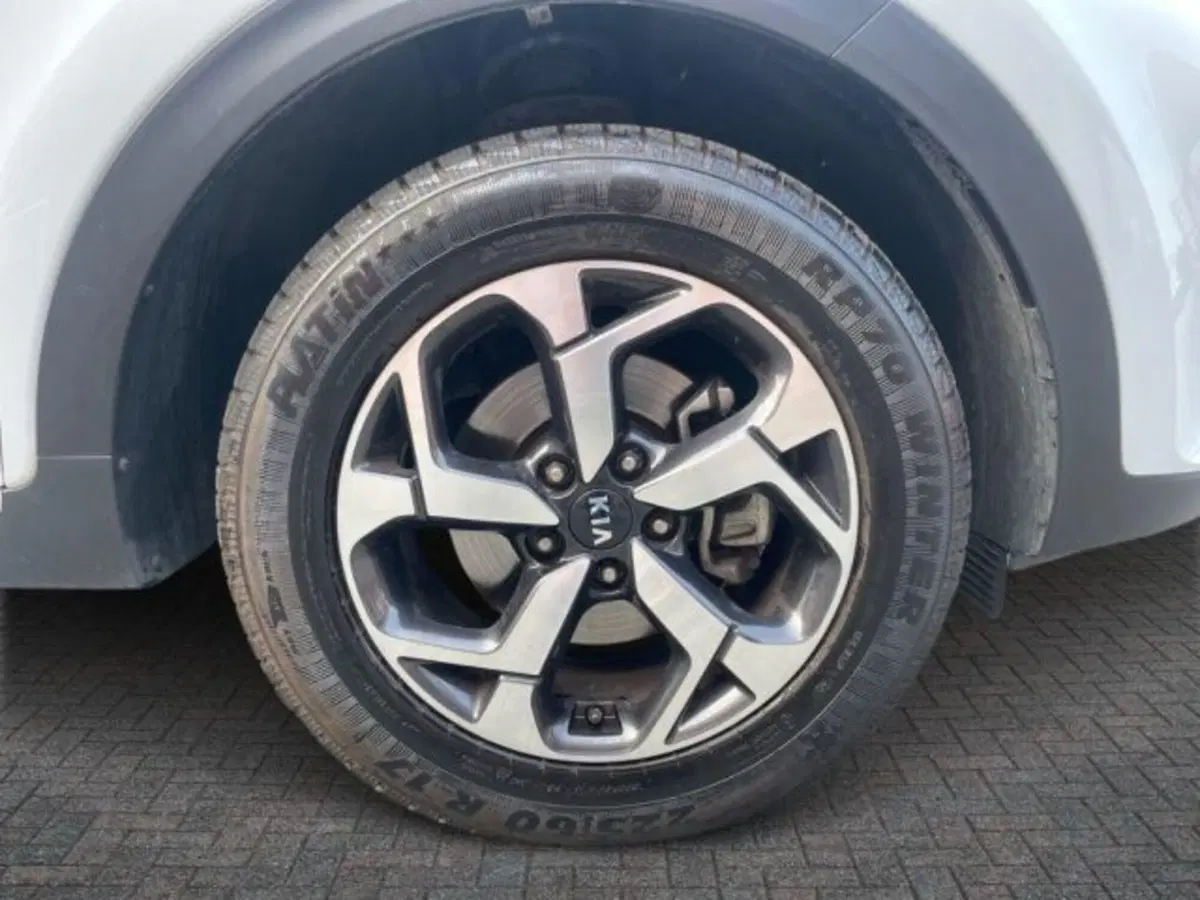 Kia Sportage usata a Vercelli (13)