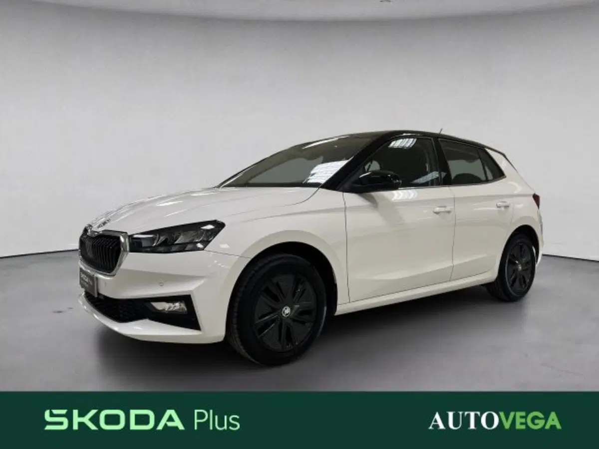 Skoda Fabia usata a Vicenza
