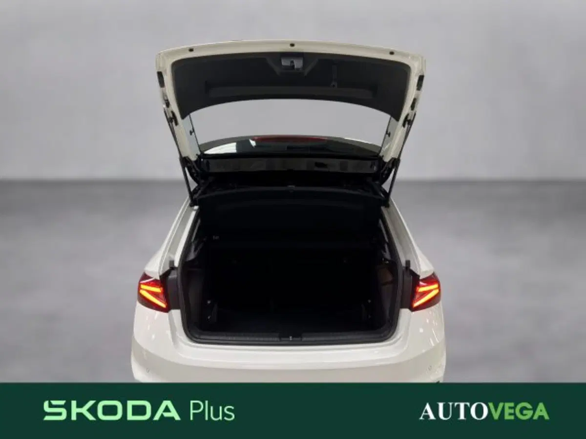 Skoda Fabia usata a Vicenza (17)