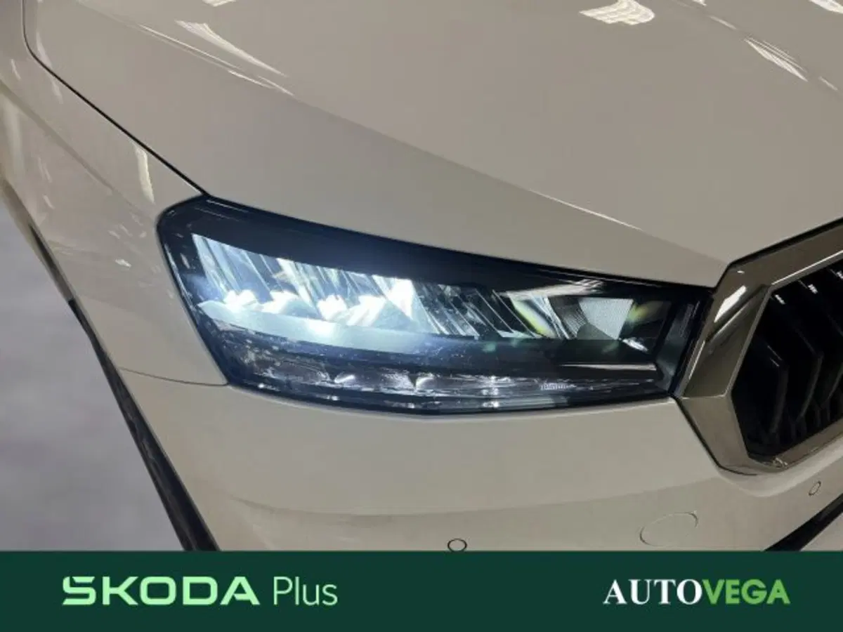 Skoda Fabia usata a Vicenza (19)