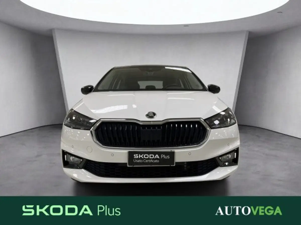 Skoda Fabia usata a Vicenza (2)