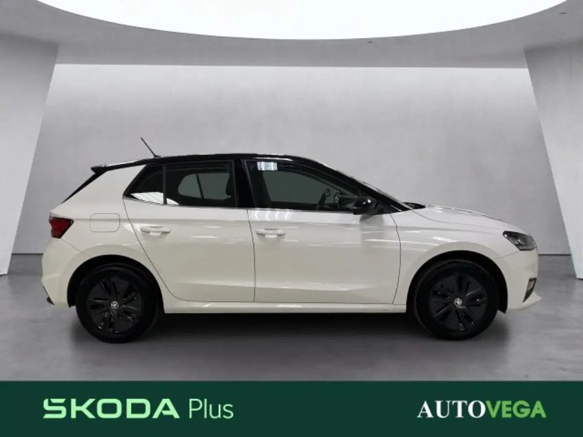 Skoda Fabia usata a Vicenza (3)