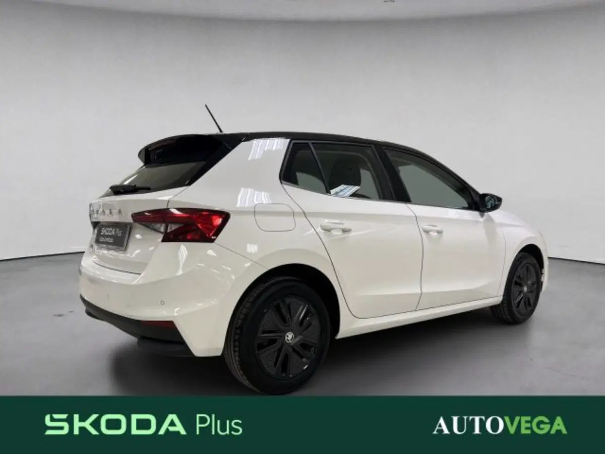 Skoda Fabia usata a Vicenza (4)